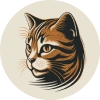 Tabby